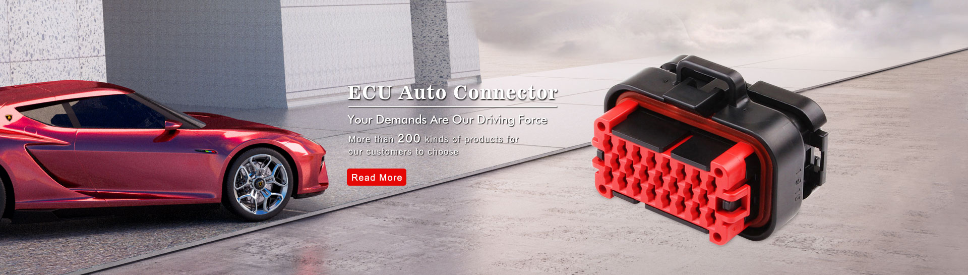 ECU Connector